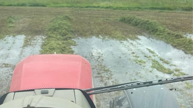 Farmers left without funding after Shannon Callows flooding