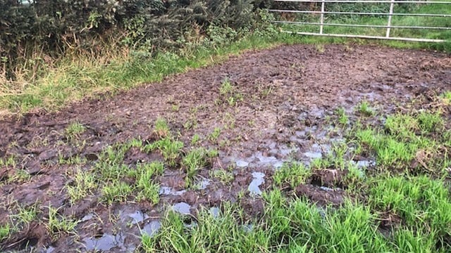 UFU: 2023 was a 'turbulent year' for farmers