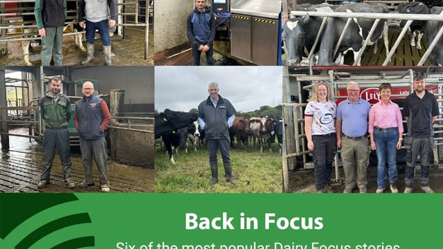 'Dairy Throwback' series to go live over festive period