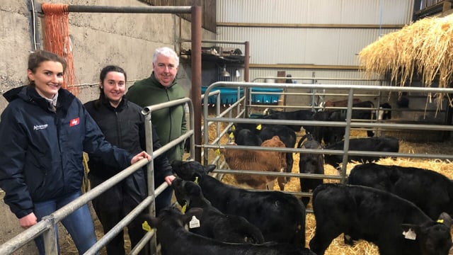 Beef Focus revisited: Tidy calf-rearing setup on Tipperary beef farm