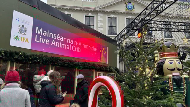 Watch: Live animal crib launched by Dublin's Lord Mayor