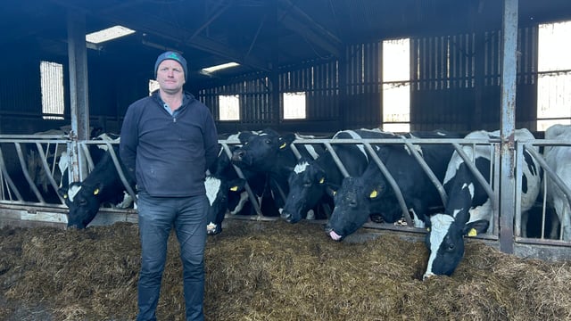 Watch: ICMSA president - N value of some calves may change