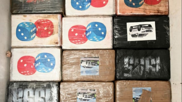 PSNI: £10m of cocaine was hidden in boxes containing frozen meat