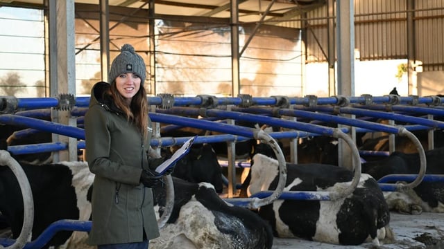 Farmers take preventative approach - Veterinary Ireland president