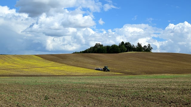 Food output levels can be maintained in NI - expert