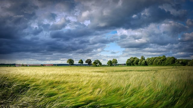 Met Éireann: Rain and showers forecast for next week
