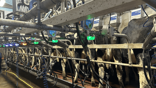 MSD launches milk quality monitoring systems