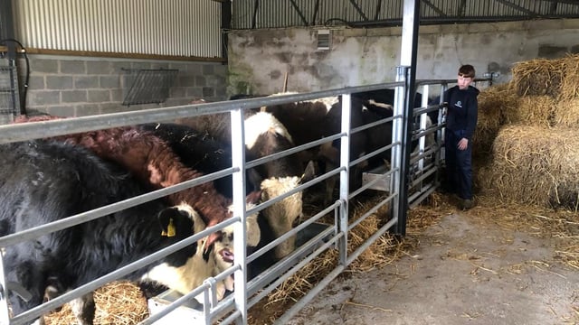 Meath teenager carves out a side hustle