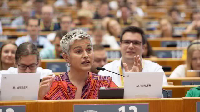 MEP urges farmers to take care of their mental health at Christmas