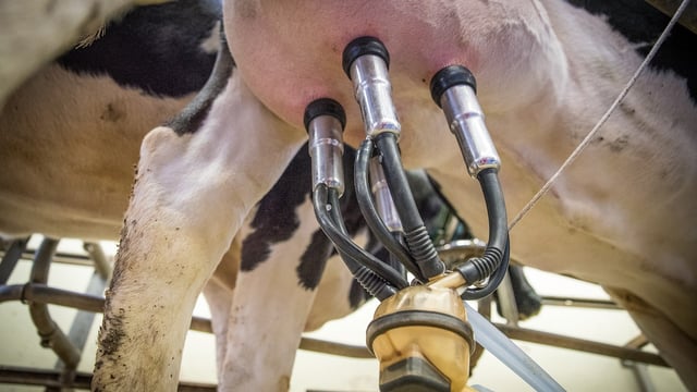Watch: Drinagh tops 12-month analysis of average base milk price
