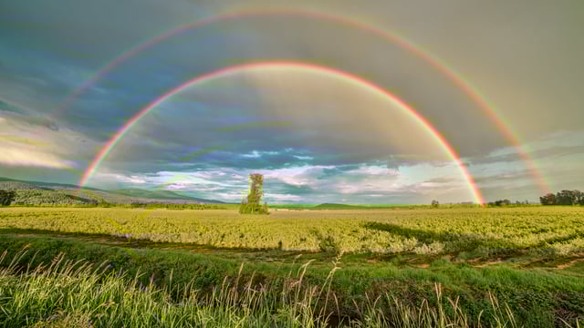 Weather and growing conditions 'crucial' for 2024 farm profitability