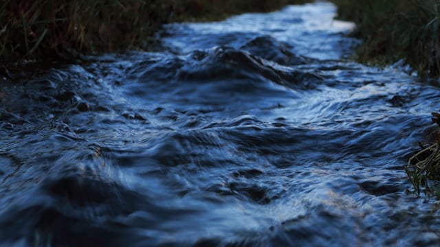 IFI welcomes funding to reduce man-made barriers on Irish rivers