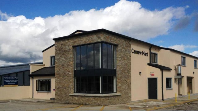 Mart report: Over 900 cattle on offer at Carnew Mart
