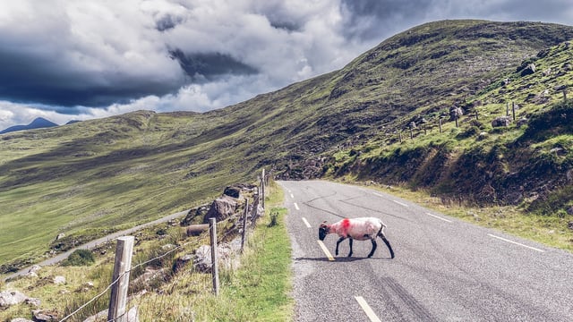 Minister urged to address 'significant shortage' of taxi services in rural towns
