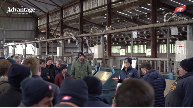 Watch: Farmers warned to be wary of high-starch in cattle diets