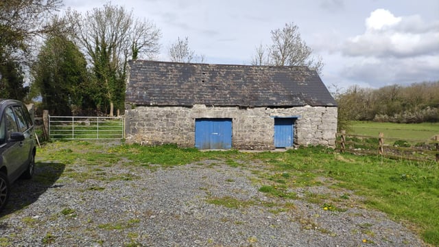 Gort sheep farmer's building repair provides roosting area for bats
