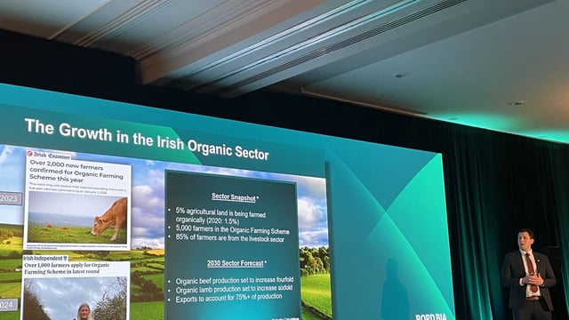 Organic beef production 'to increase fourfold' by 2030