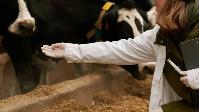 New EU I.T platform to help 'fight' antimicrobial resistance