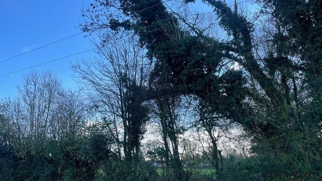 Thousands without electricity as Storm Isha continues
