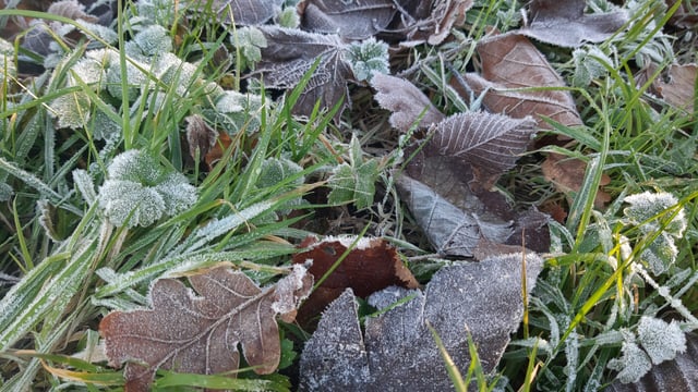 Met Éireann: Mainly dry and cold conditions this week
