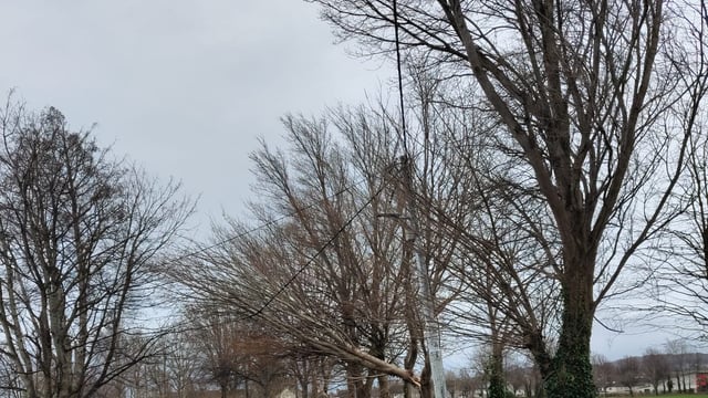 ESB: 235,000 remain without power due to Storm Isha