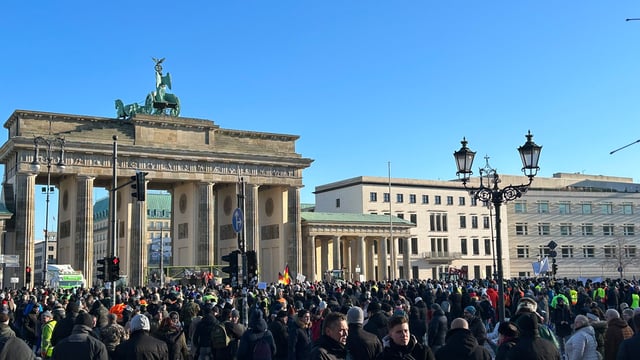 European farmer protests show need for market reform - EMB