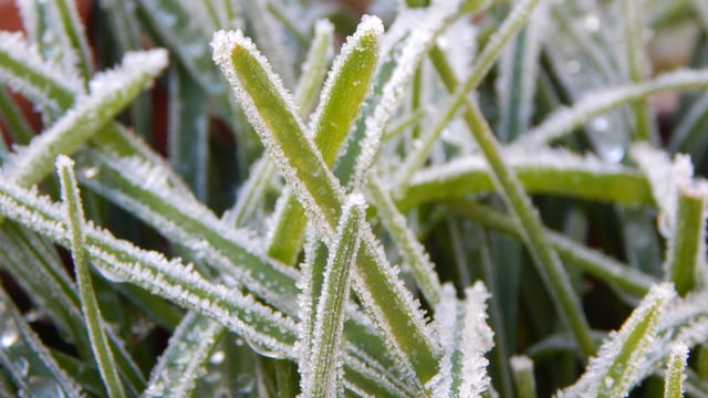 Met Éireann: Cold and mainly dry weekend ahead
