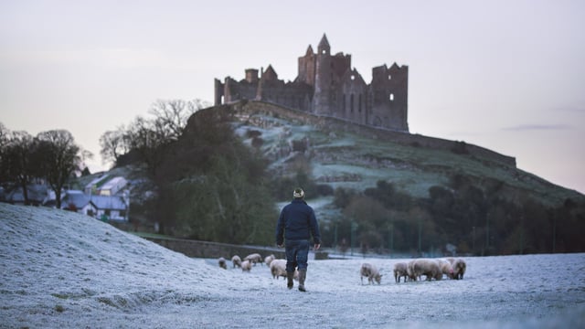 Ifac: Number of farmers unsure about future rises further