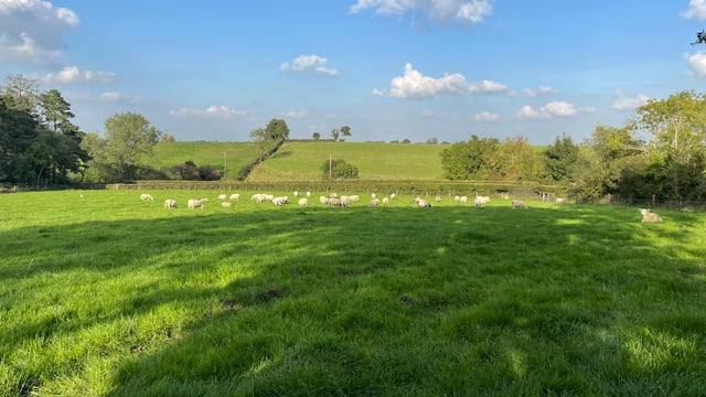 DAFM updates farmers on ACRES payment progress
