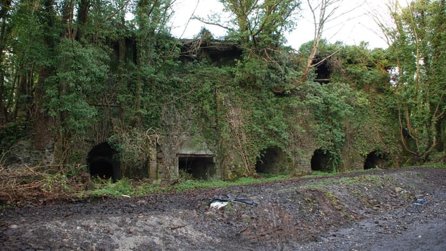Man fined £50,000 for destroying historic lime kiln structures