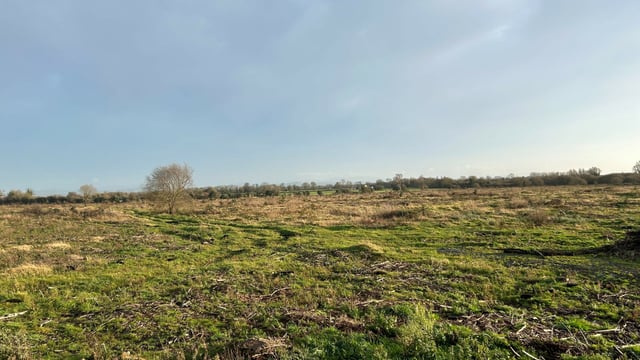 170ac of cleared forestry lands for sale in Kildare