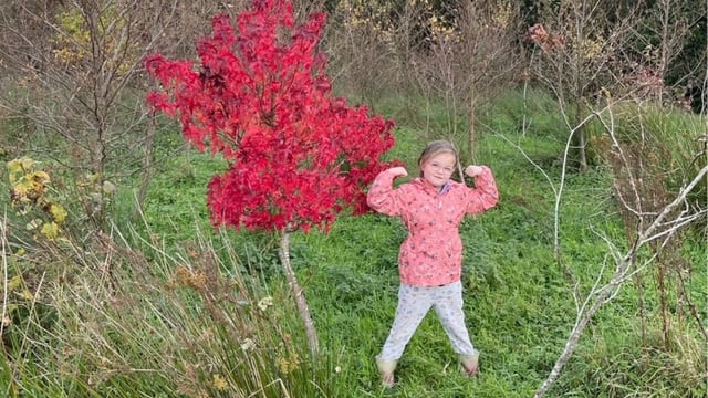 Meath man donates thousands of saplings nationwide