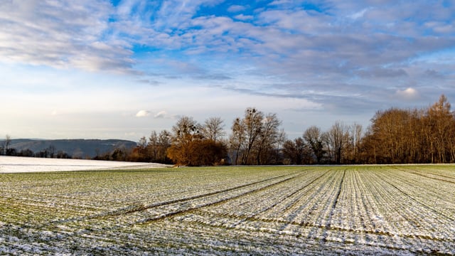 Winter is 11th season with above average temperatures - Met Éireann