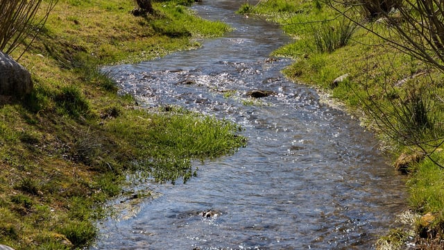 Opinion: Water quality synonymous with farming and food