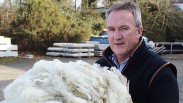 October has been dedicated to the promotion of wool