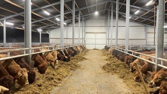 Factory quotes: How are the winter beef finishers faring?