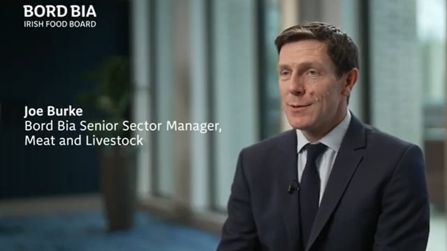 Watch: Irish cattle supplies set 'to tighten further' in 2024
