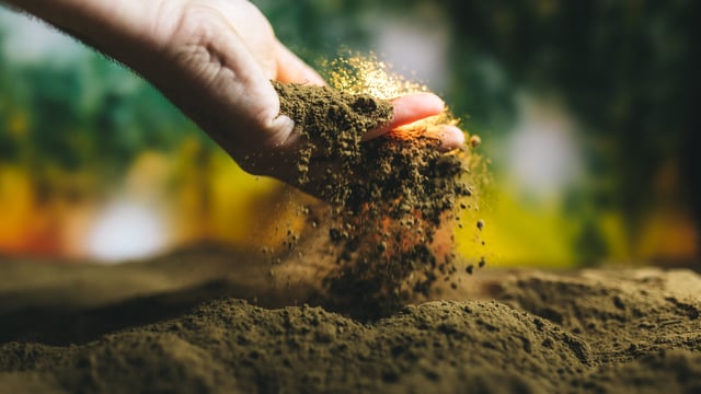 13-year soil mapping programme collects final sample in Cork