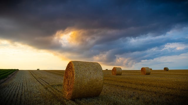Agriland Fodder Survey: One third of farmers facing a shortage
