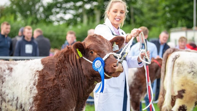 Irish Shorthorn cattle society announces new president