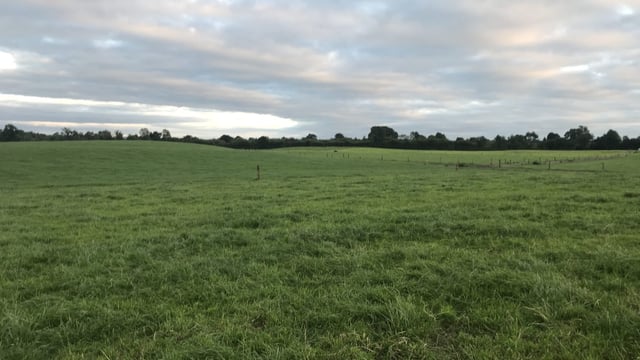 EU farmers call for derogation for recovered nitrogen from manure