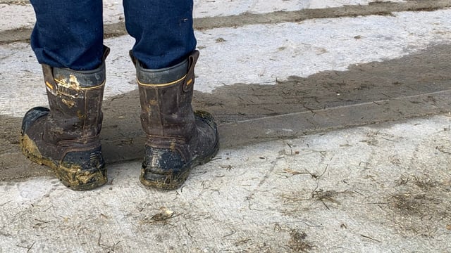 Minister announces reopening of ACRES Training Scheme