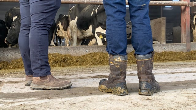 UK Farm Assurance Review seeks less on-farm audits