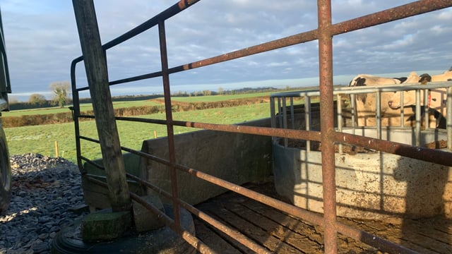 PSNI issues appeal over theft of 15 cattle in Co. Fermanagh