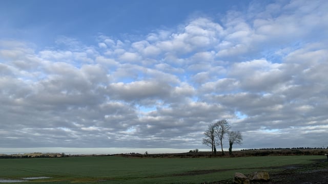 Weather: Drier conditions this week with some light rain
