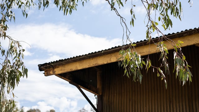 Dairy farmer fined after contractor dies in fall from shed roof