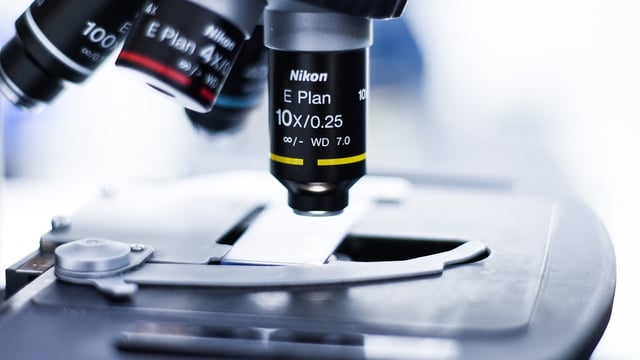 Testing to help prevent lumpy skin disease entering Ireland