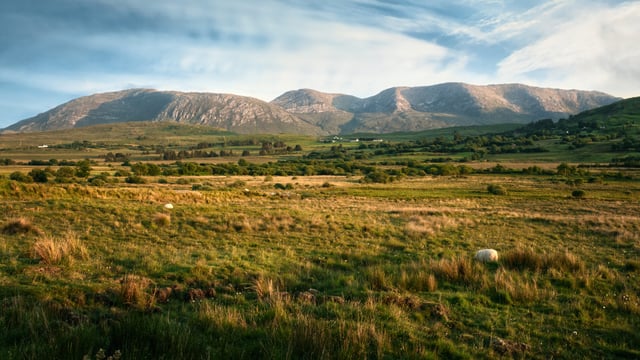 DAFM issues over €6.5m in outstanding scheme payments
