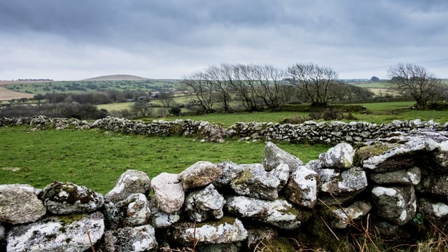 Met Éireann: Mild and breezy this week with scattered rain