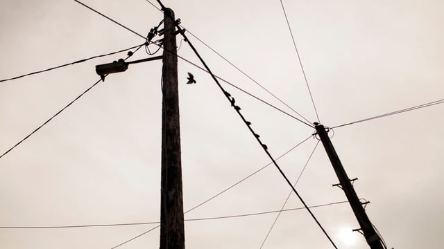 MEP calls for investment in 'outdated' electricity grid